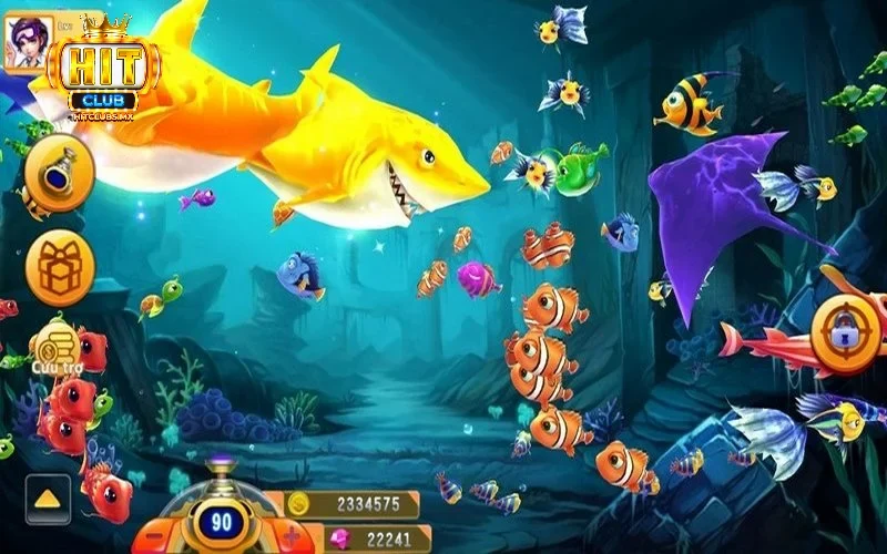 Một số lưu ý khi tham gia với Bắn cá Tiểu Tiên Cá Hitclub
