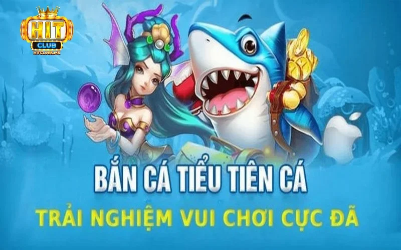 Đánh giá hệ thống Bắn cá Tiểu Tiên Cá Hitclub