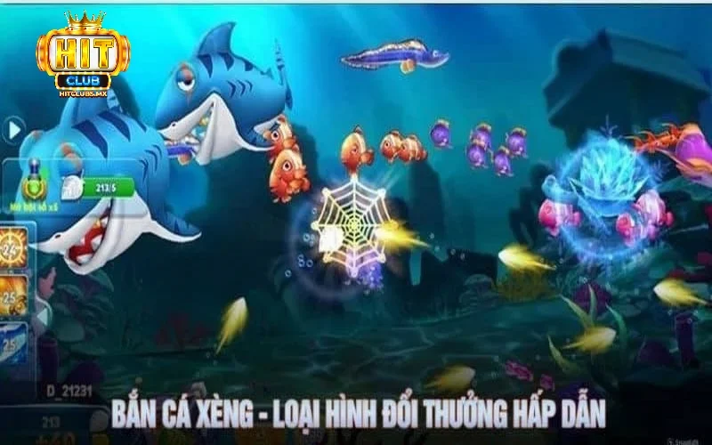 Vì sao nên lựa chọn chơi bắn cá xèng 777 Hitclub?